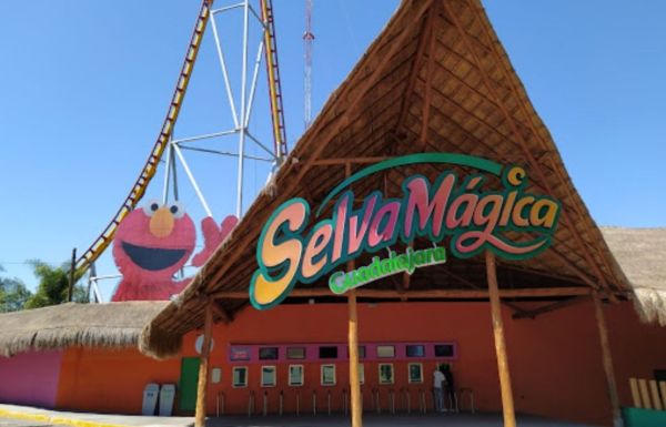 Selva Mágica