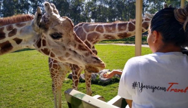 Zoológico Guadalajara